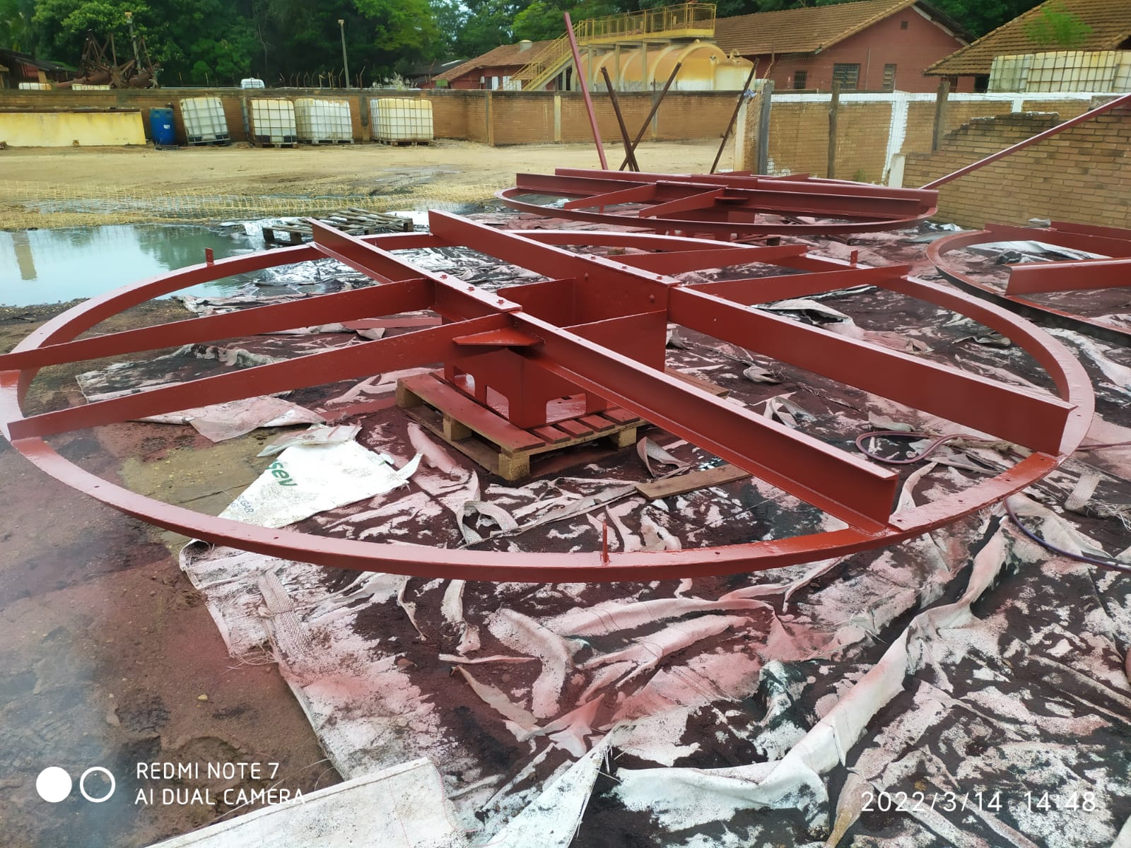 WhatsApp Image 2022-04-18 at 13.41.02.jpeg